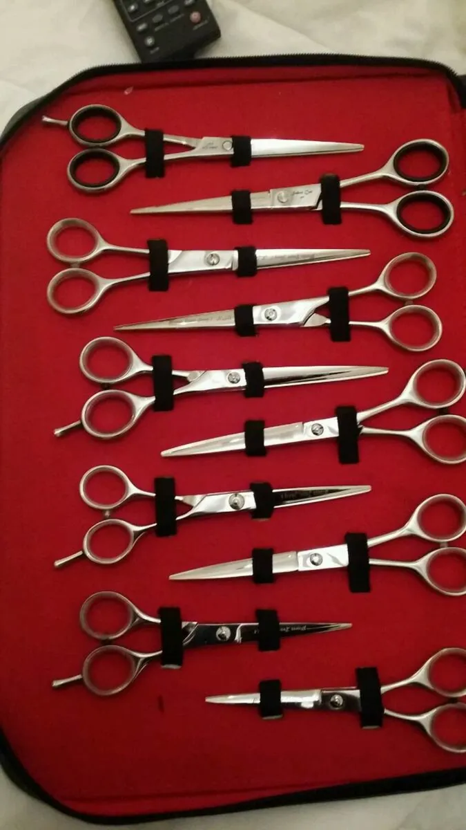 Scissors - Image 4