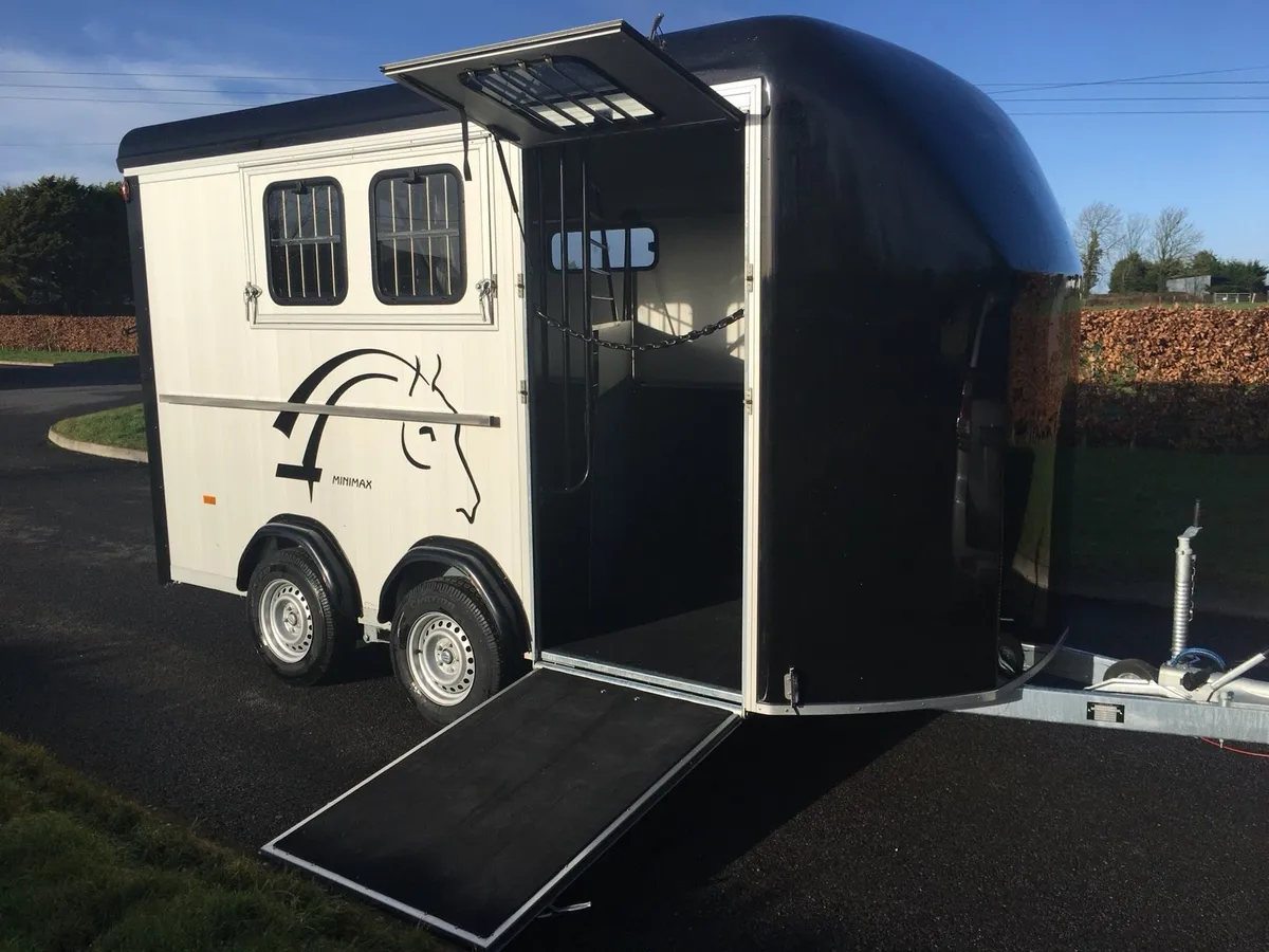 Cheval Liberte minimax - Image 2