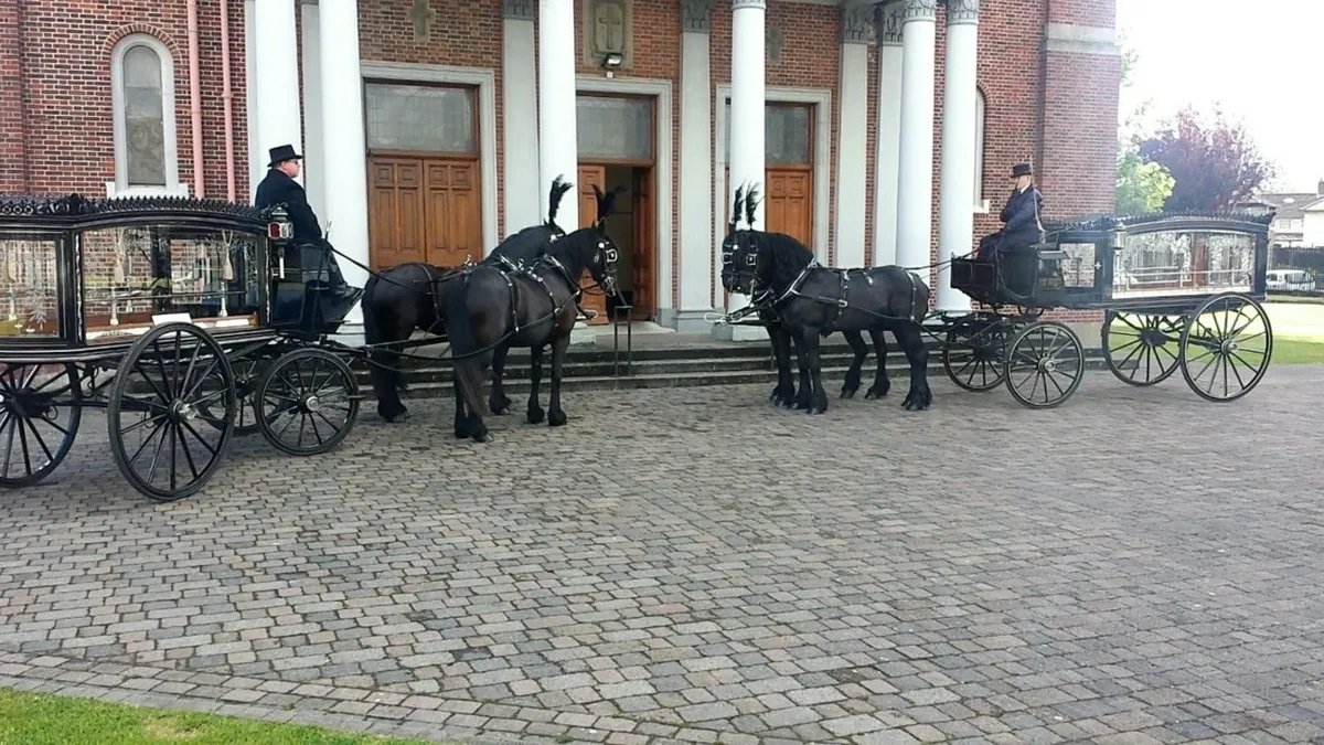 John O Grady Carriage Hire - Image 2