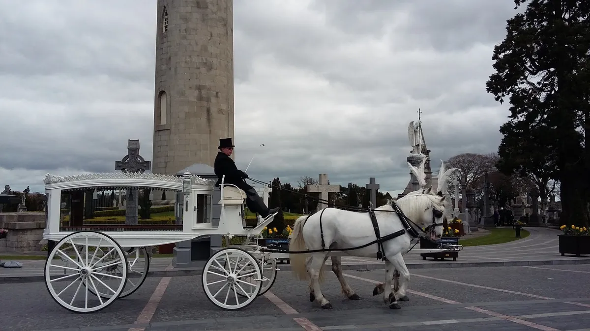 John O Grady Carriage Hire - Image 3