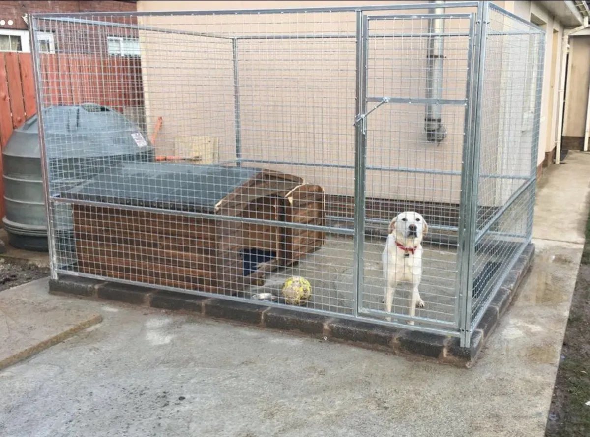 Dog pens runs cages enclosures kennels Galvanised
