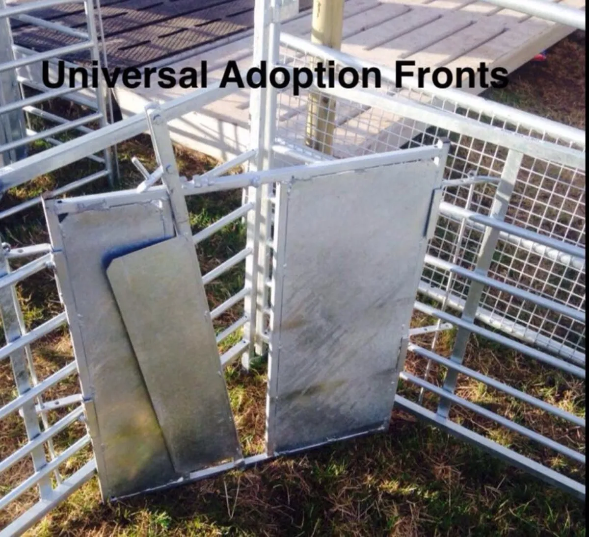 Universal adoption front - Image 2