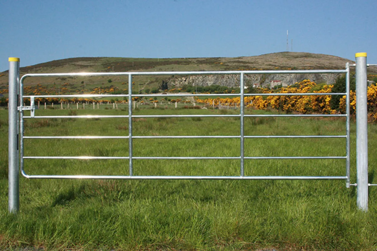 Galvanised Gates , cattle, sheep, yard, meshed!! * - Image 4