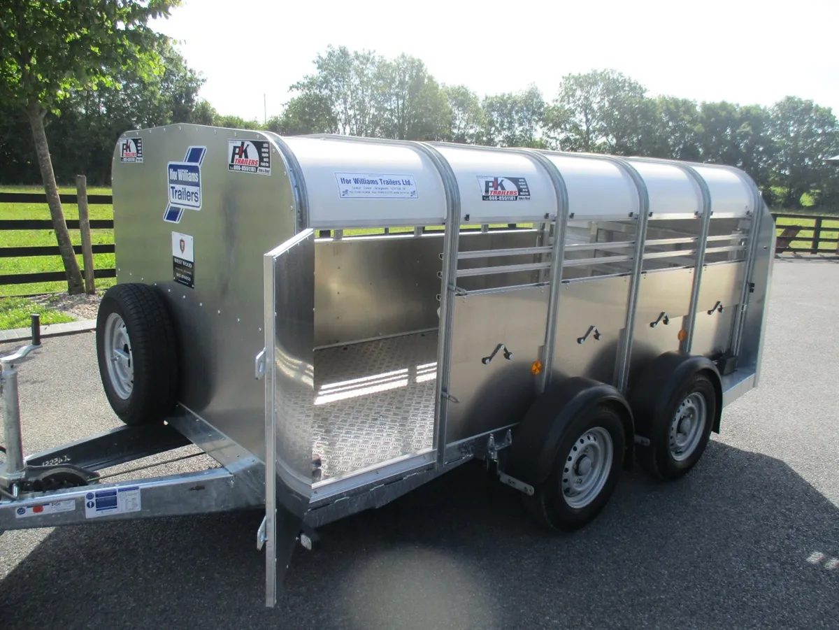 PKS-IFOR WILLIAMS 10'X5'X4' PIG & SHEEP TRAILER - Image 2