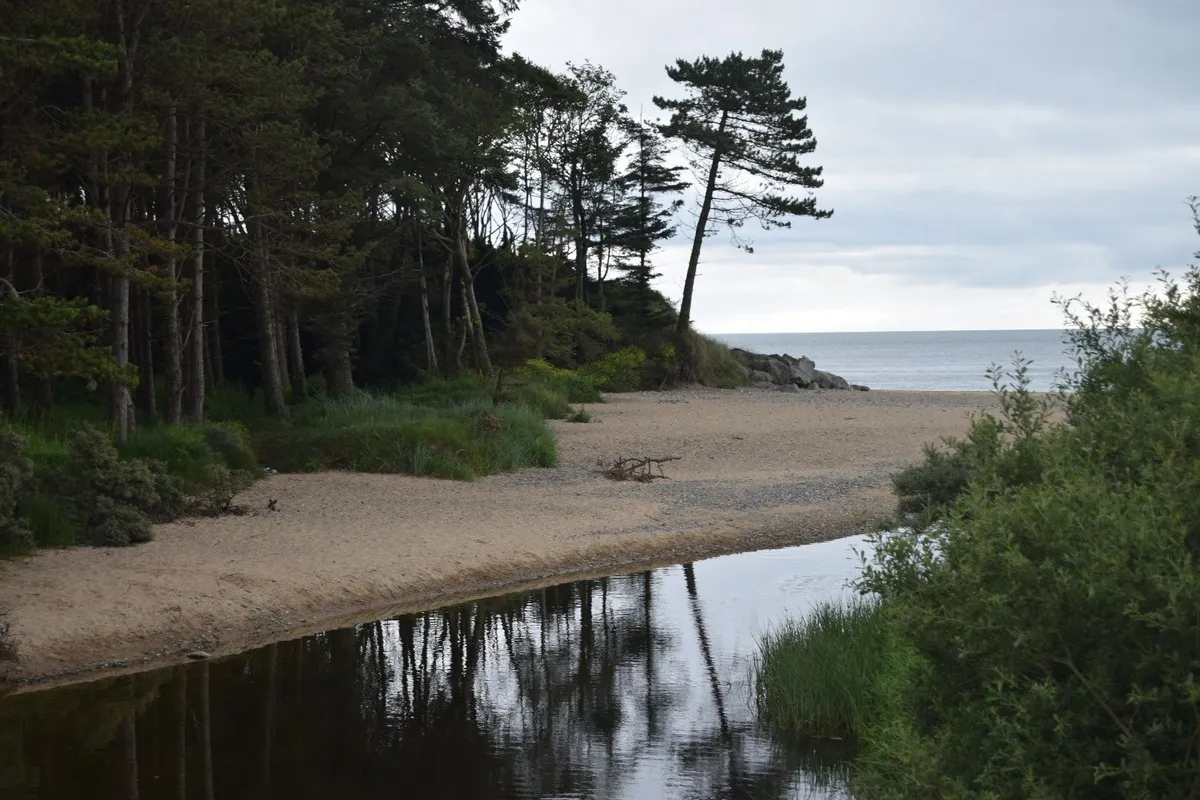 Wexford Courtown Holiday selfcatering - Image 3