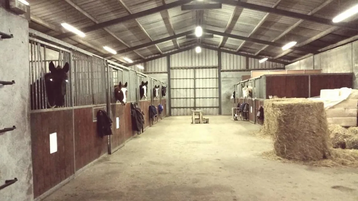 Livery / Lessons/Horse Share-Chestnut Hill Stables - Image 1