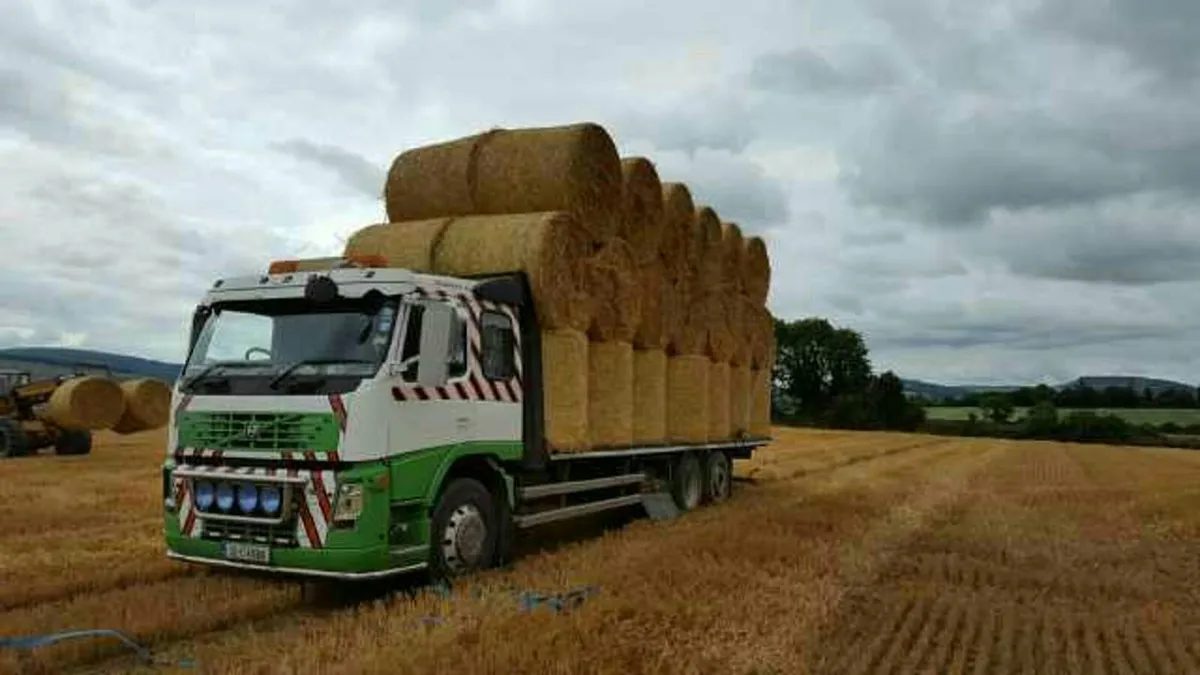 Hay straw  Round  and square delivered - Image 1