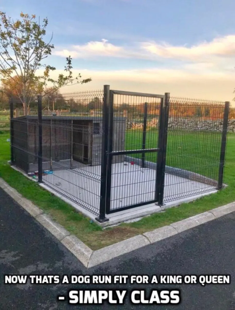 ‼️BIG SALE ON ‼️ DISCOUNT Dog kennels.. Amazing - Image 4