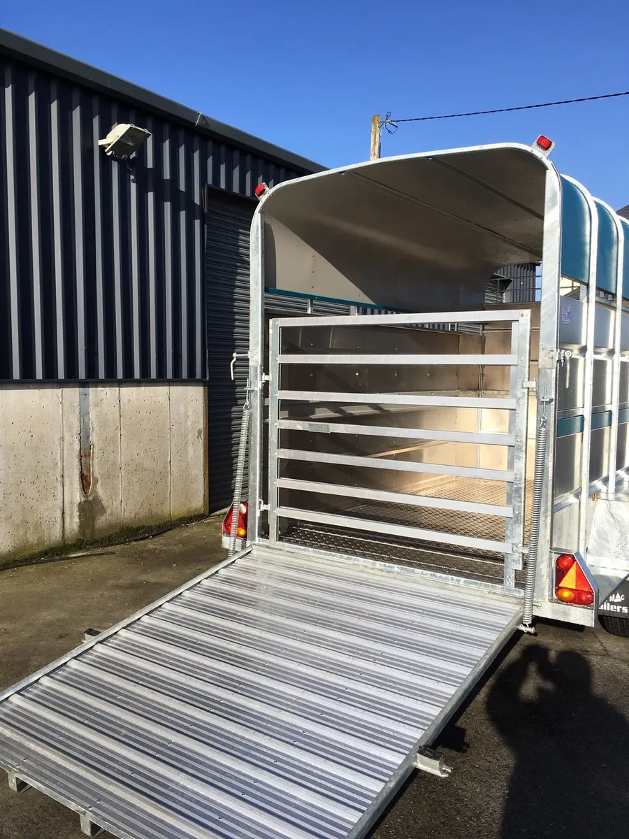 Tuffmac horse livestock trailer - Image 4