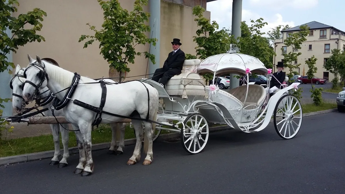 John O Grady Carriage Hire Nationwide - Image 4