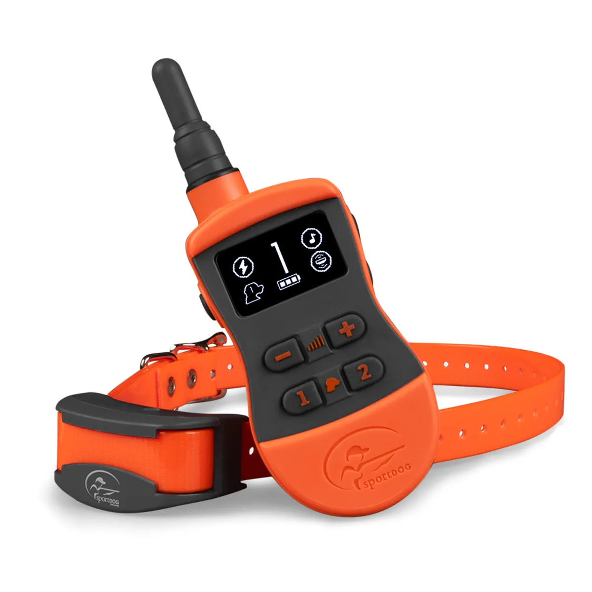 Remote Trainers from €129