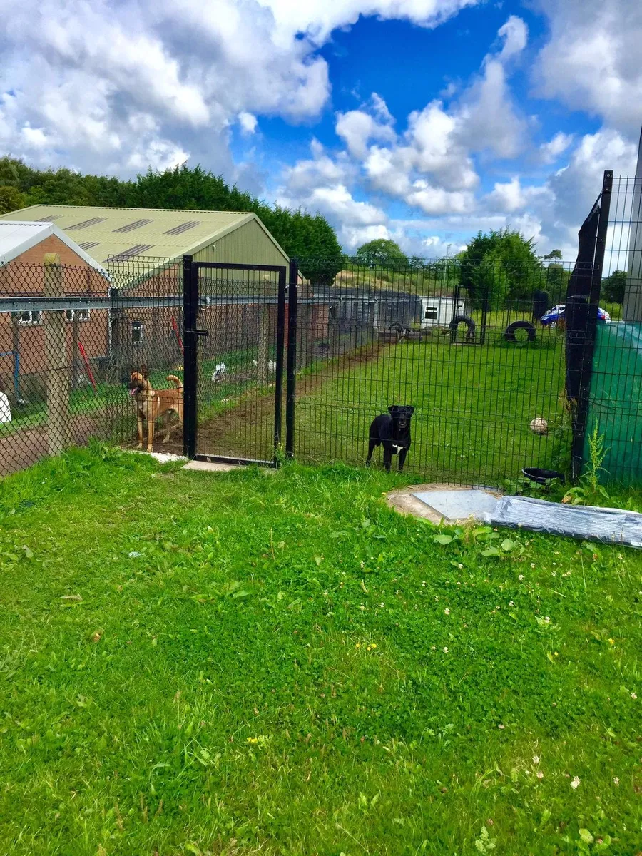 V mesh  fencing  dog runs and boundaries