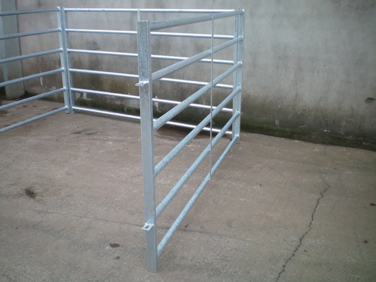 Calf Hurdles, Calving Pens, Cattle Pens - Suckler - Image 3