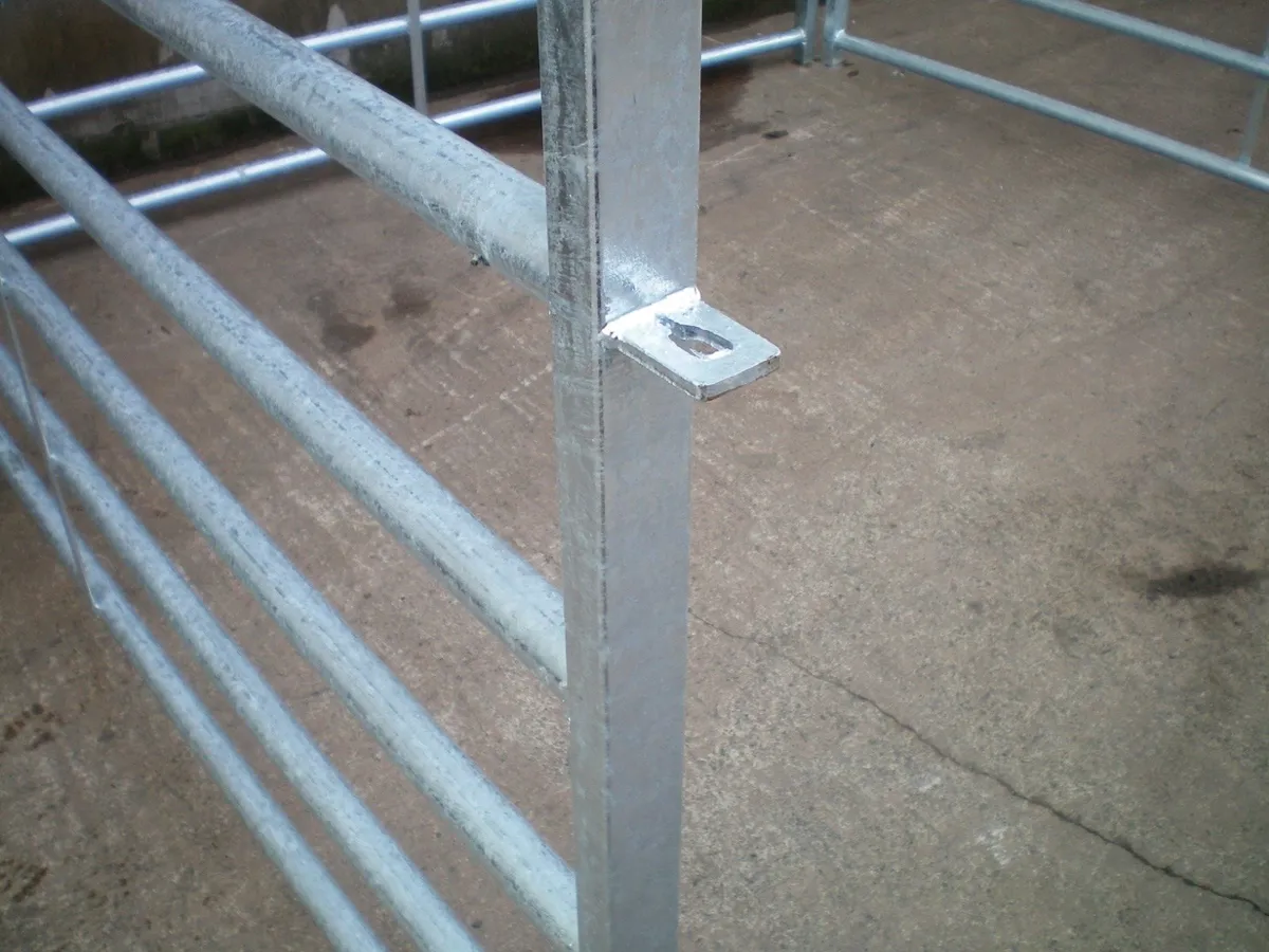 Calf Hurdles, Calving Pens, Cattle Pens - Image 4