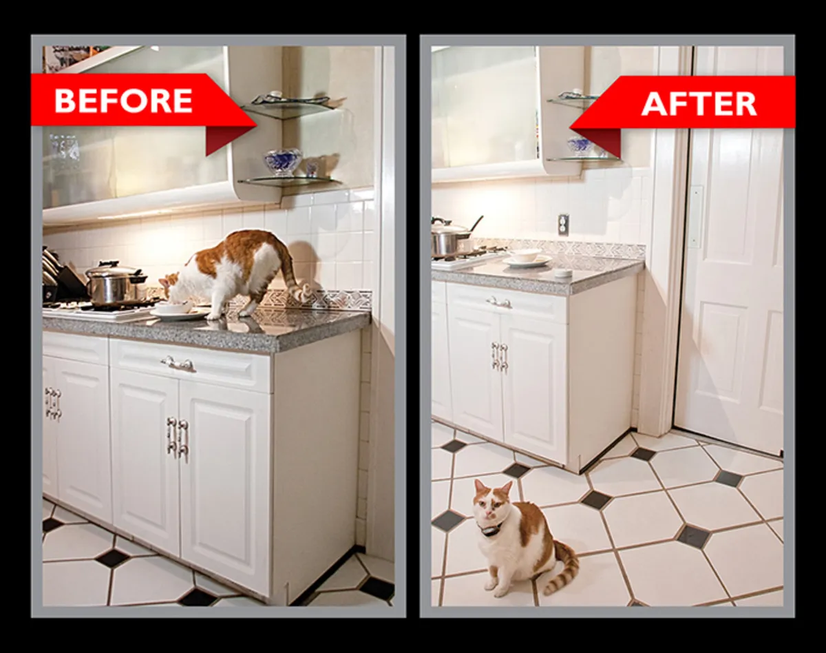 Keep Cats Off Countertops - Pawz Away - Image 1