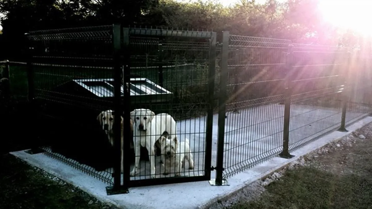 Fencing,  Gates, Double gates, Sliding gates - Image 3