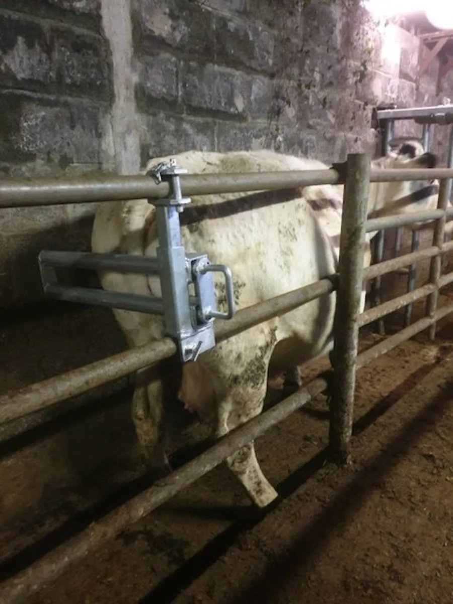 Livestock Weighing Scales(Qualify for BEEP; TAMS) - Image 3