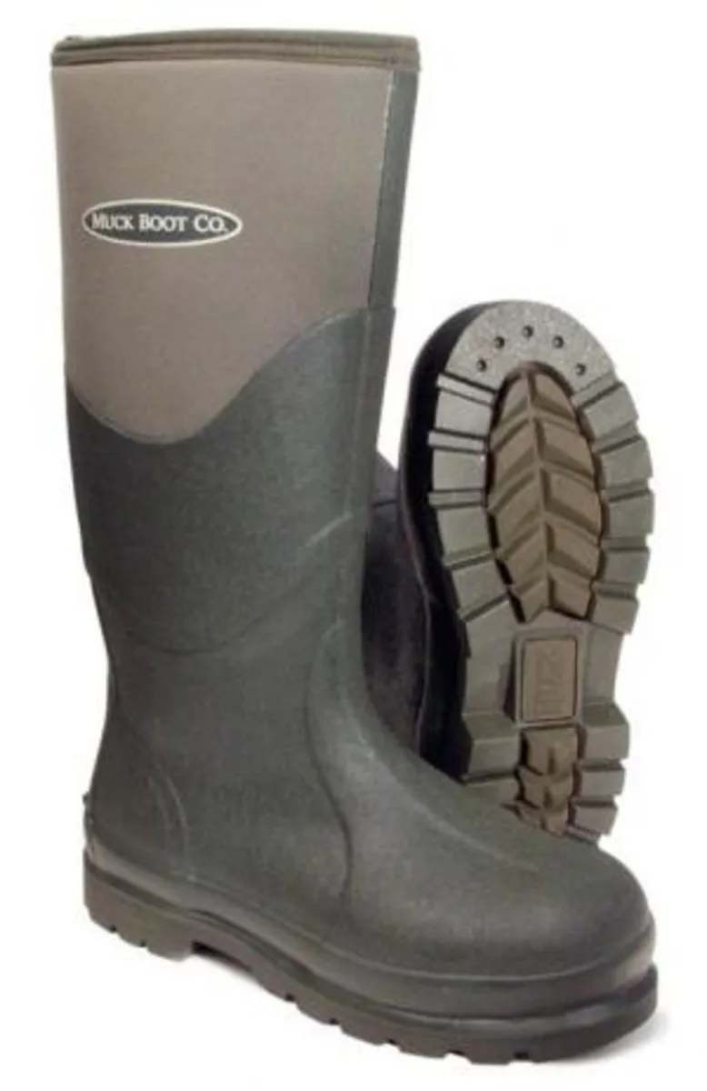 Wellington boots Wellies - Image 1