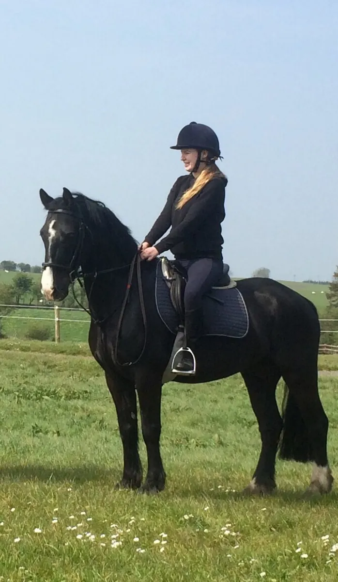 Do You Want To Work With Horses? - Image 2