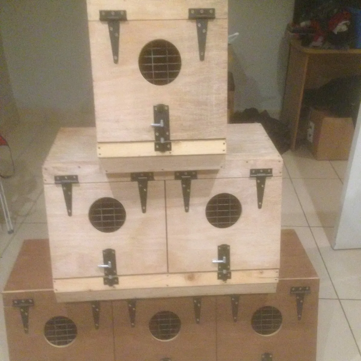 Terrier/ ferret boxes - Image 2