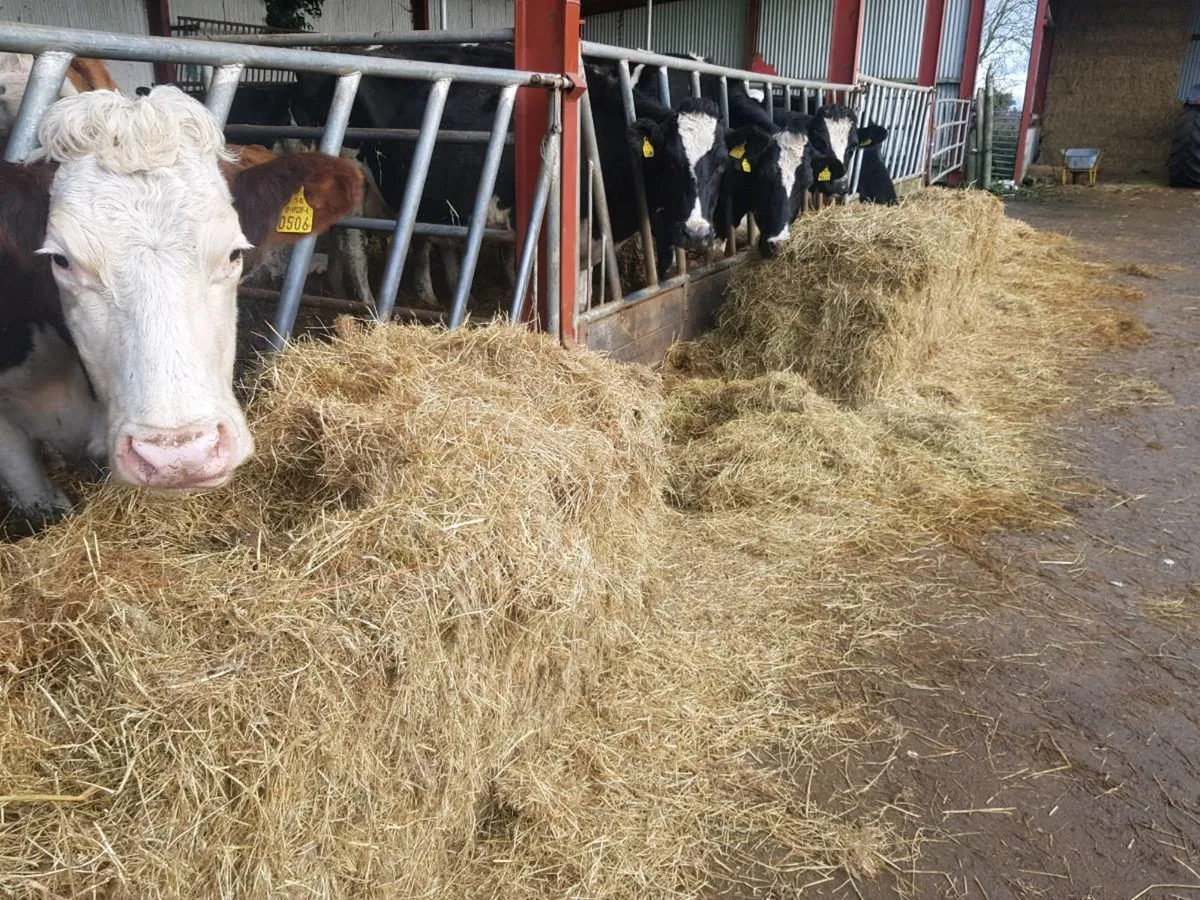 Hay  Delivered