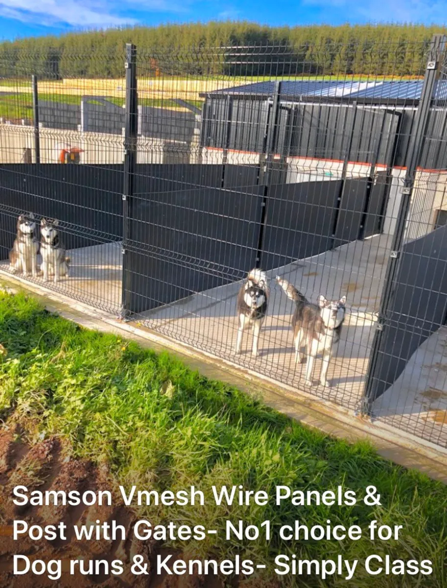 Dog kennels done store deal