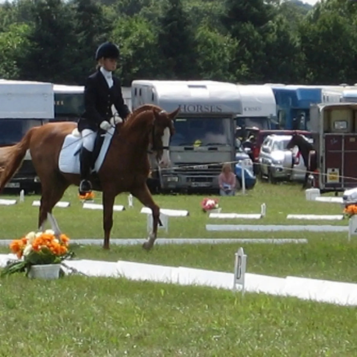 Dressage Arena Boards and markers - Image 1
