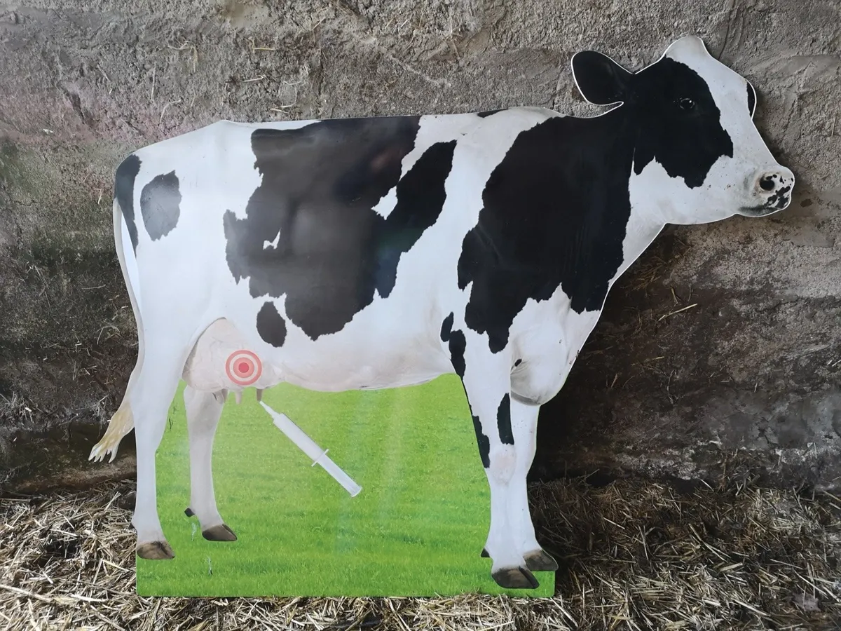 Mastitis cruds, Udder- Zero withdrawal-Sell milk - Image 4