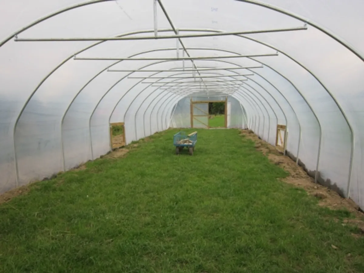 19ft wide polytunnels , SPECIAL OFFER ON DIGGING - Image 2