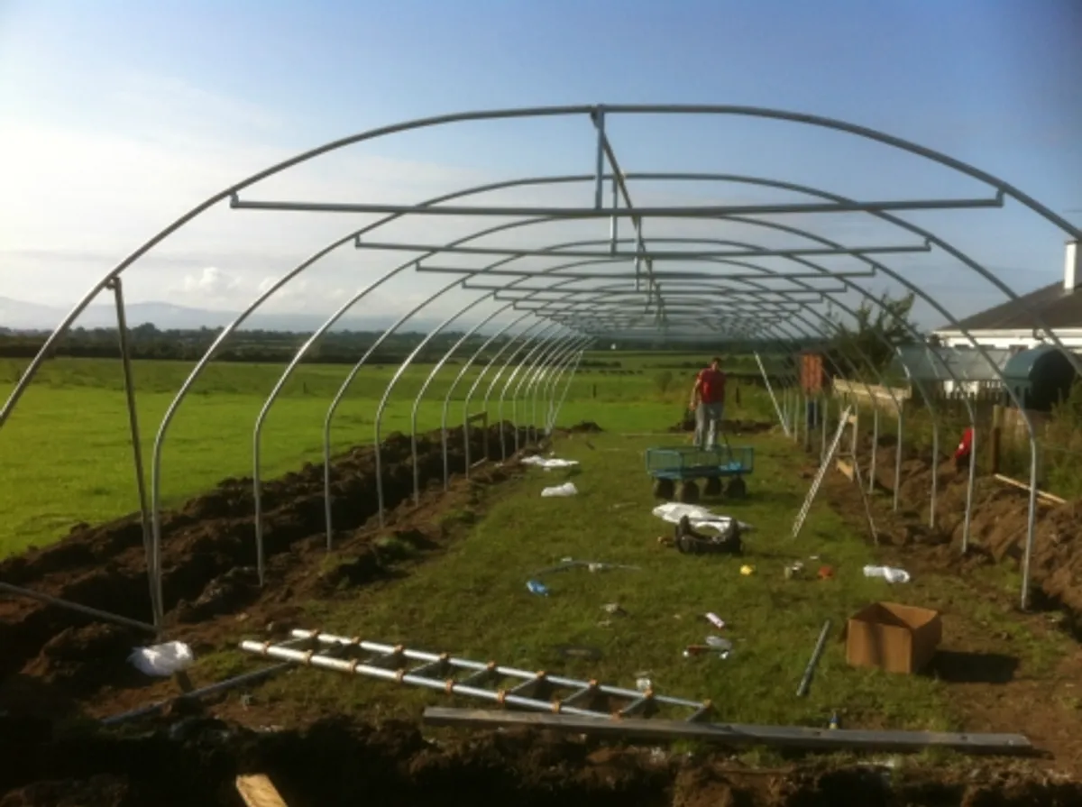 19ft wide polytunnels - Image 4