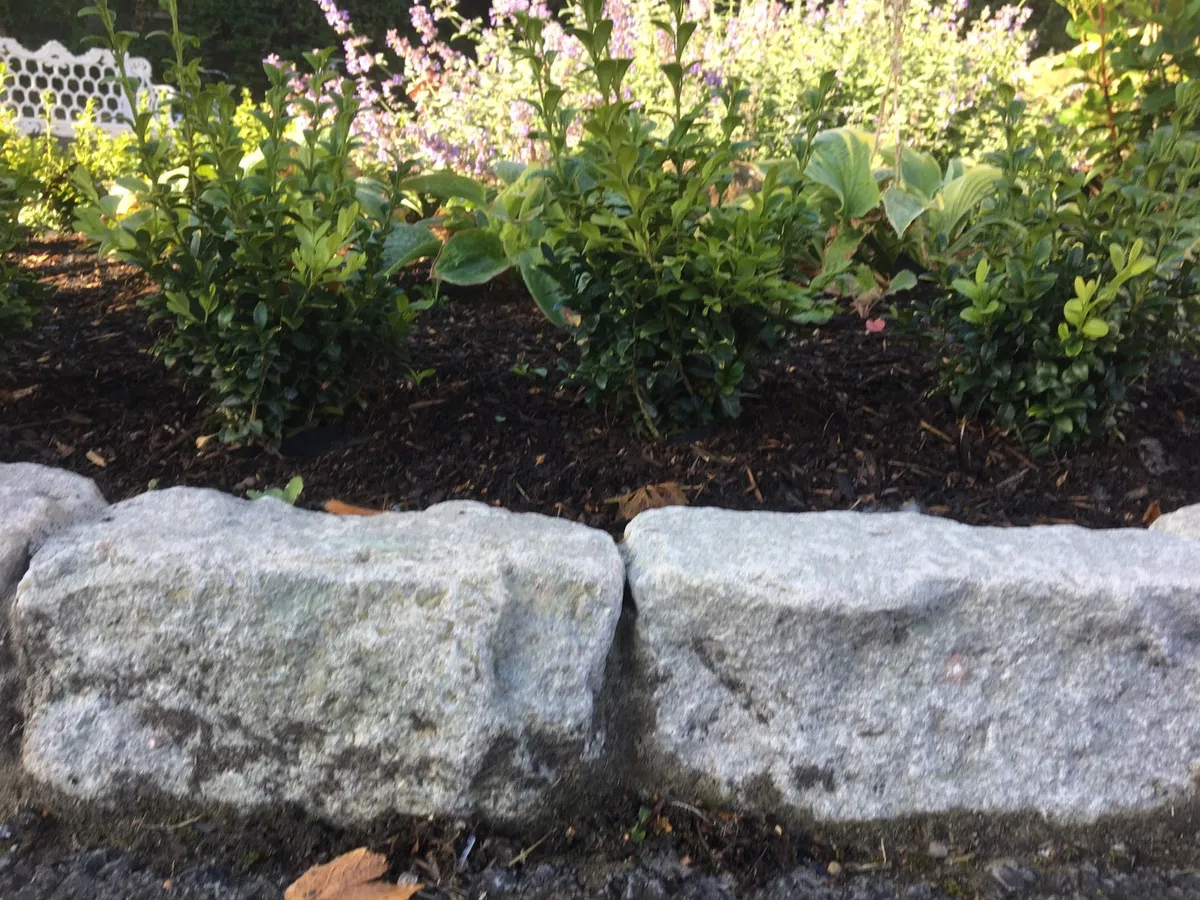 Old Salvage  Windsor Grey 6" Kerbs 20 m deal €369! - Image 2