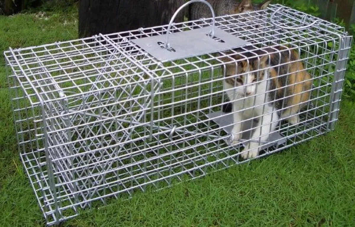 Cat Traps - Image 2