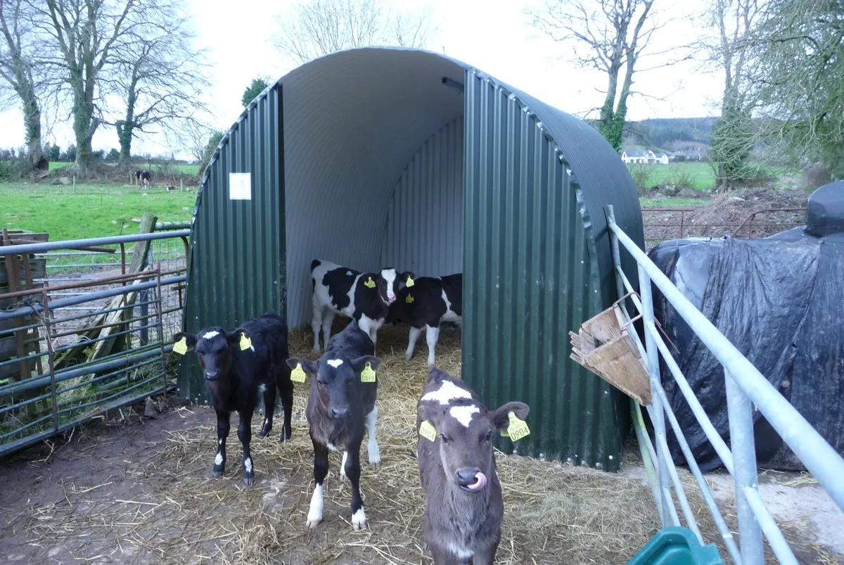 LARGE CALF DONKEY PONY LlAMA SHEEP SHELTER SHED - Image 1