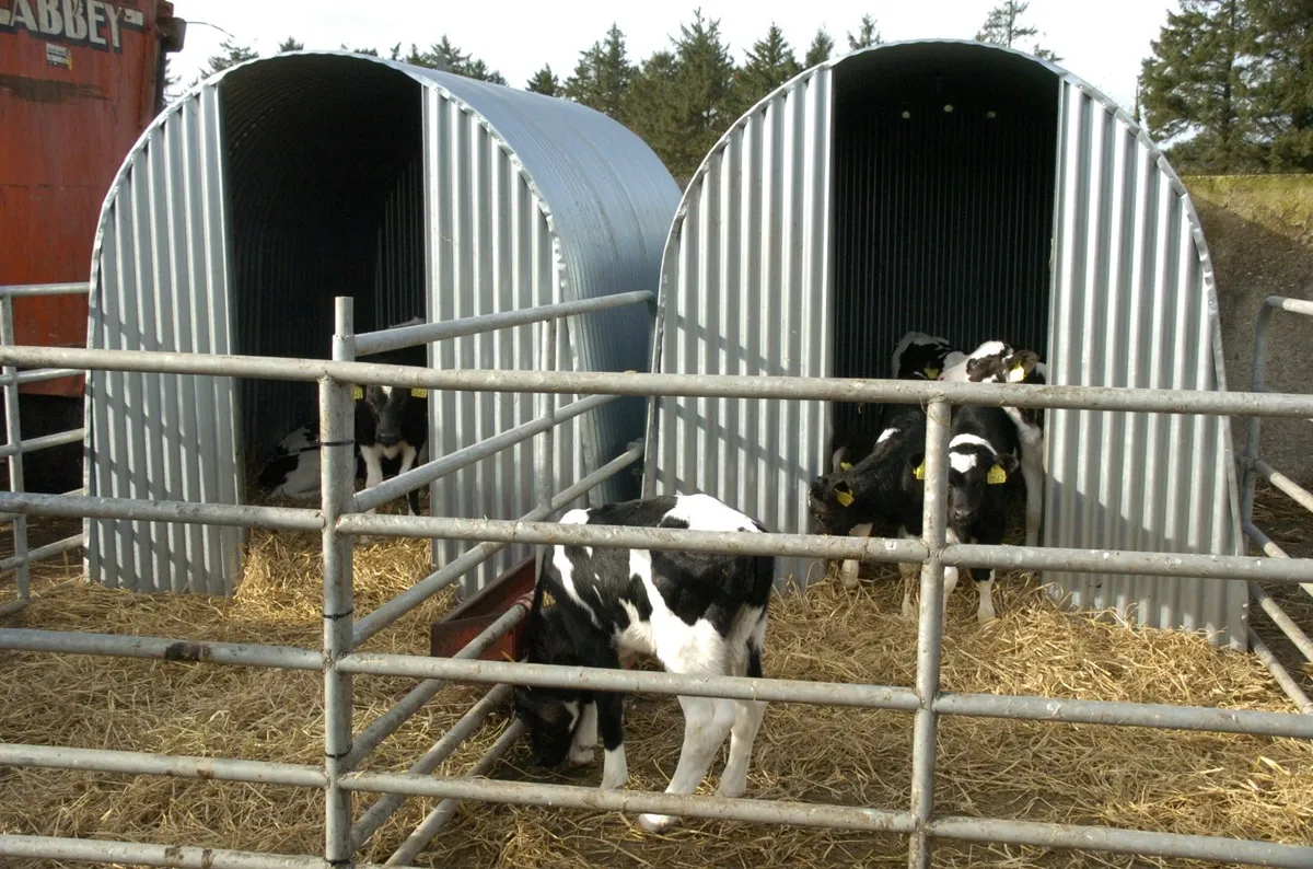 CALF SHEEP PIG GOATS DONKEY ALPACA SHED SHELTER - Image 3