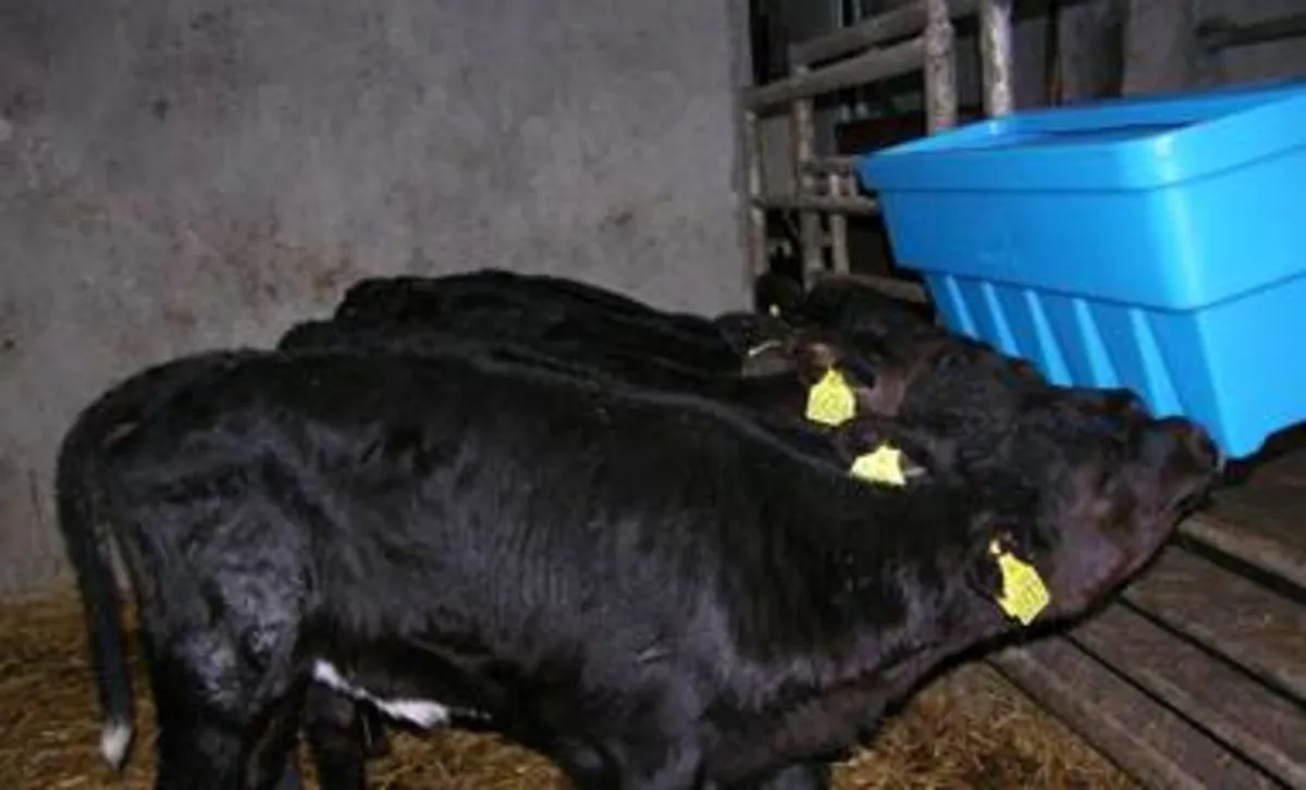 Calf Rearing Equipment , Leam AGRI . - Image 3