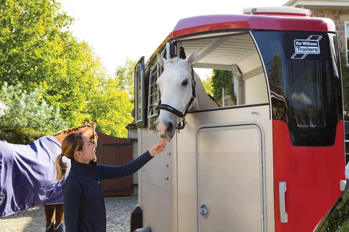 Full Rangeof  Ifor Williams Horseboxes - Image 1