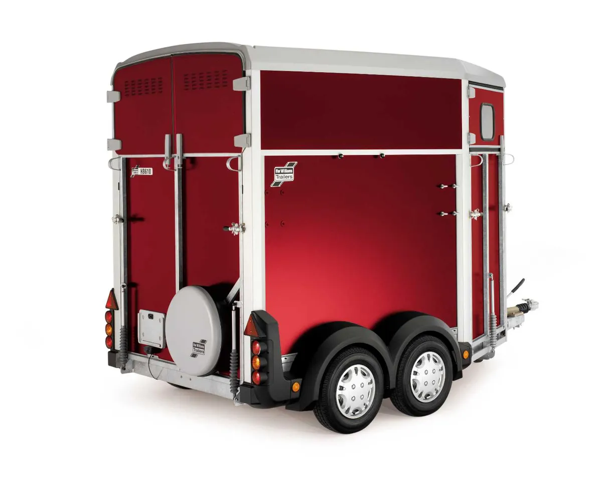 Best Deals on Ifor Williams Horseboxes - Image 4