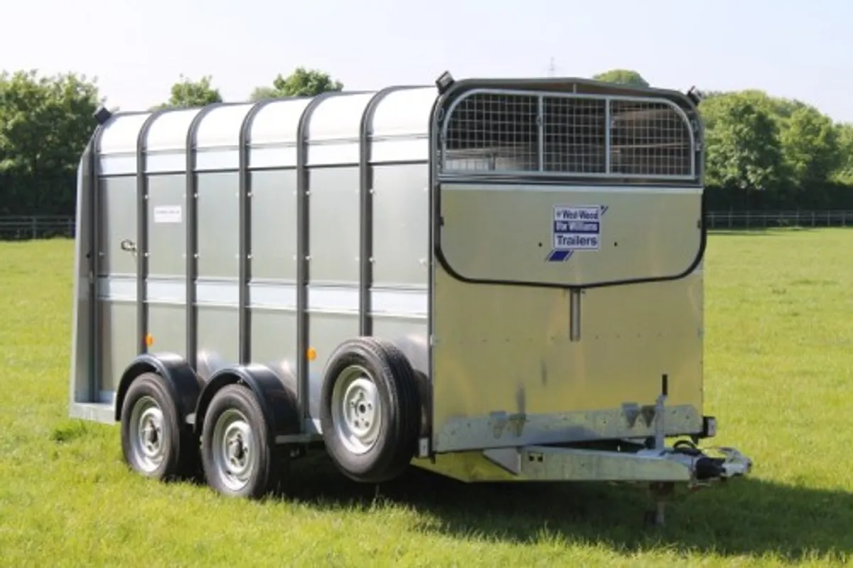 New TA510 12' x 5'10" Ifor Williams Livestock - Image 1