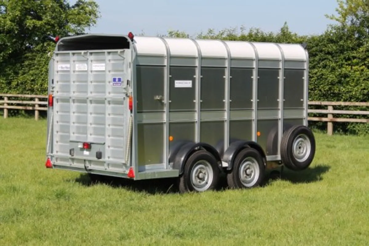 New TA510 12' x 5'10" Ifor Williams Livestock - Image 2