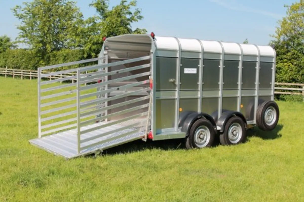 New TA510 12' x 5'10" Ifor Williams Livestock - Image 3