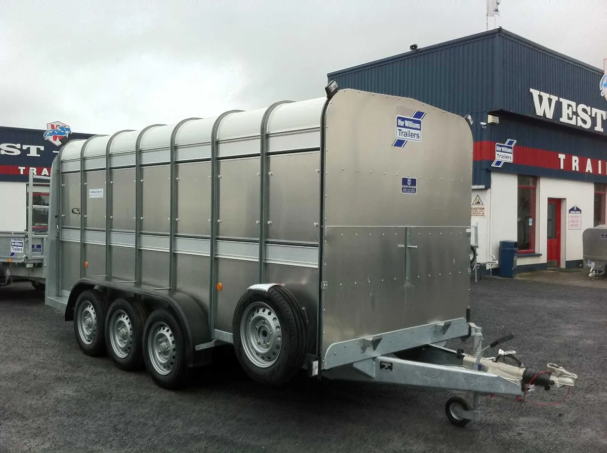 New TA510 14' x 5'10' 6' Ifor Williams Trailer - Image 2