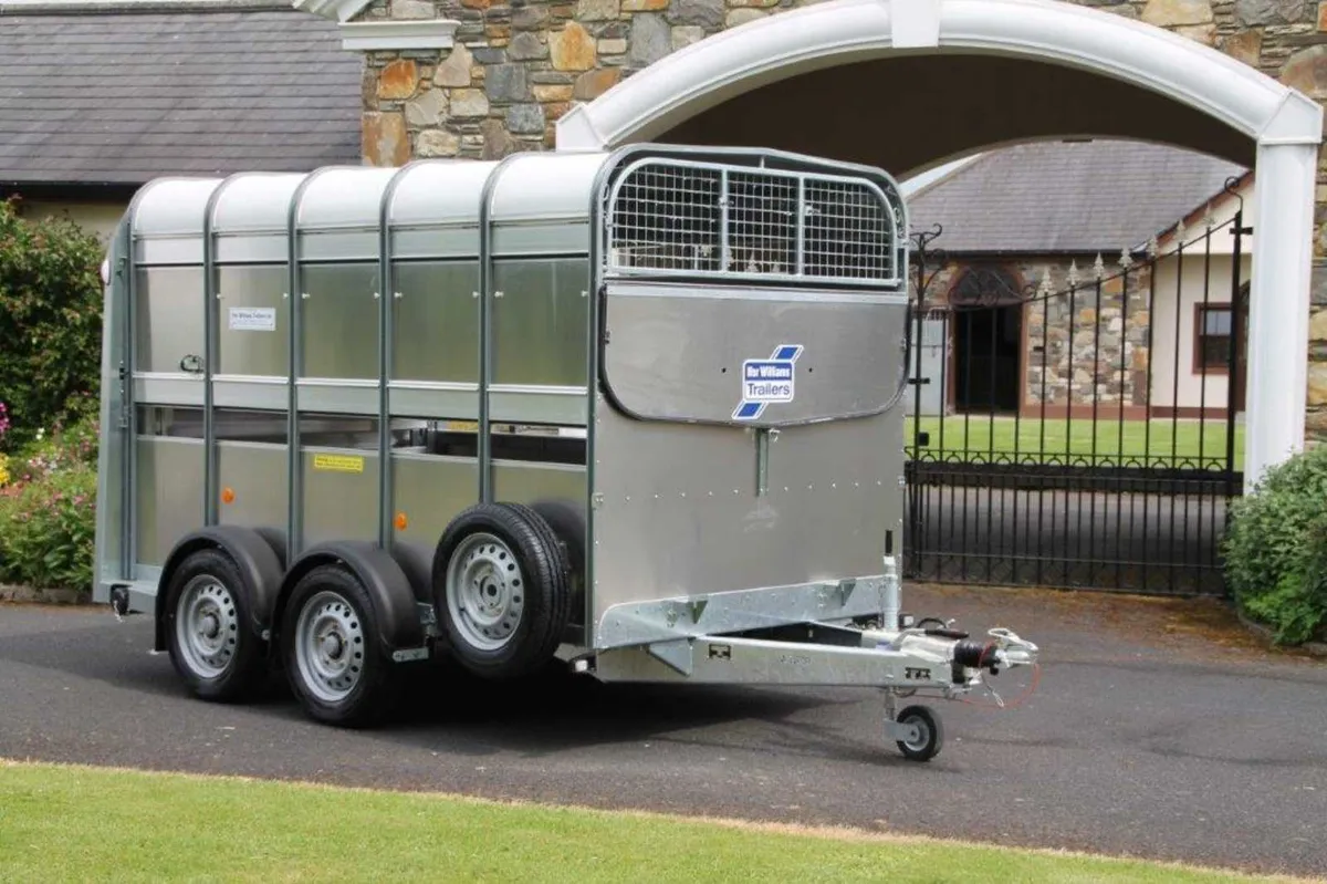 New TA510 10' x 5' x 6' Ifor Williams Trailer - Image 3