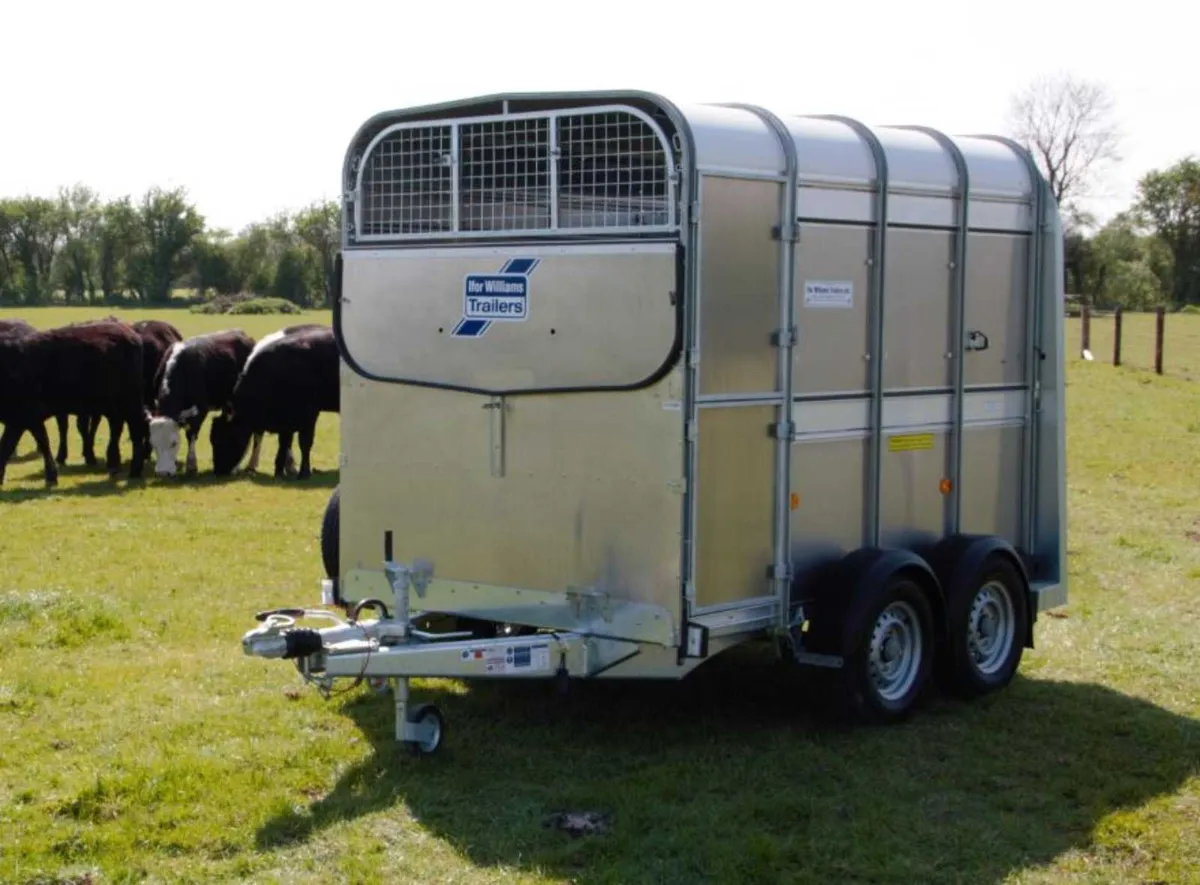 New TA5 8' x 5' x 6' Ifor Williams Trailer