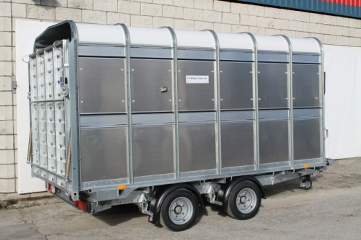 A001 New DP120 12' x 6'6" Ifor Williams Livestock - Image 3