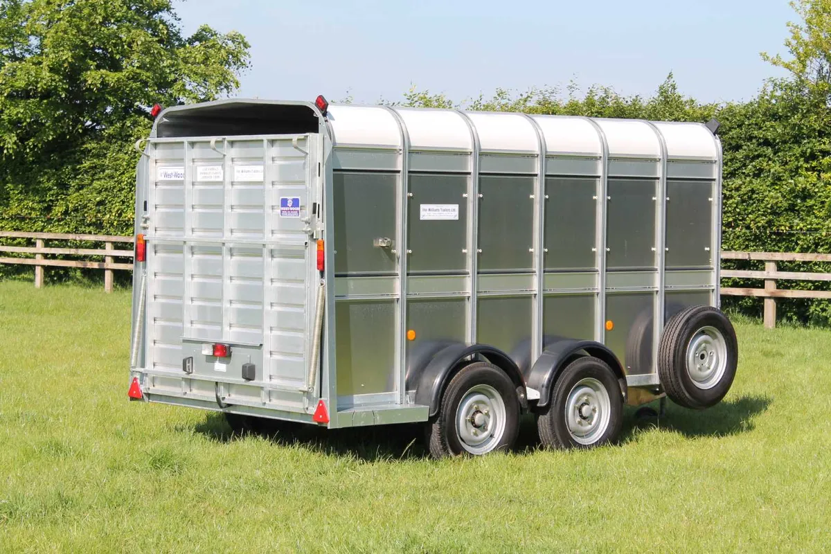 New TA510 12' x 5'10'' Ifor Williams Cattle Traile - Image 3