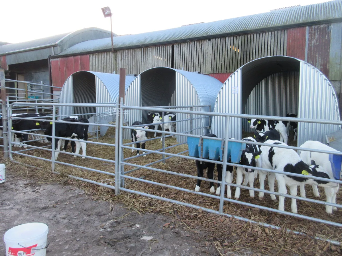 Large Calf Donkey Pony Llama  Sheep Shed Shelter - Image 3