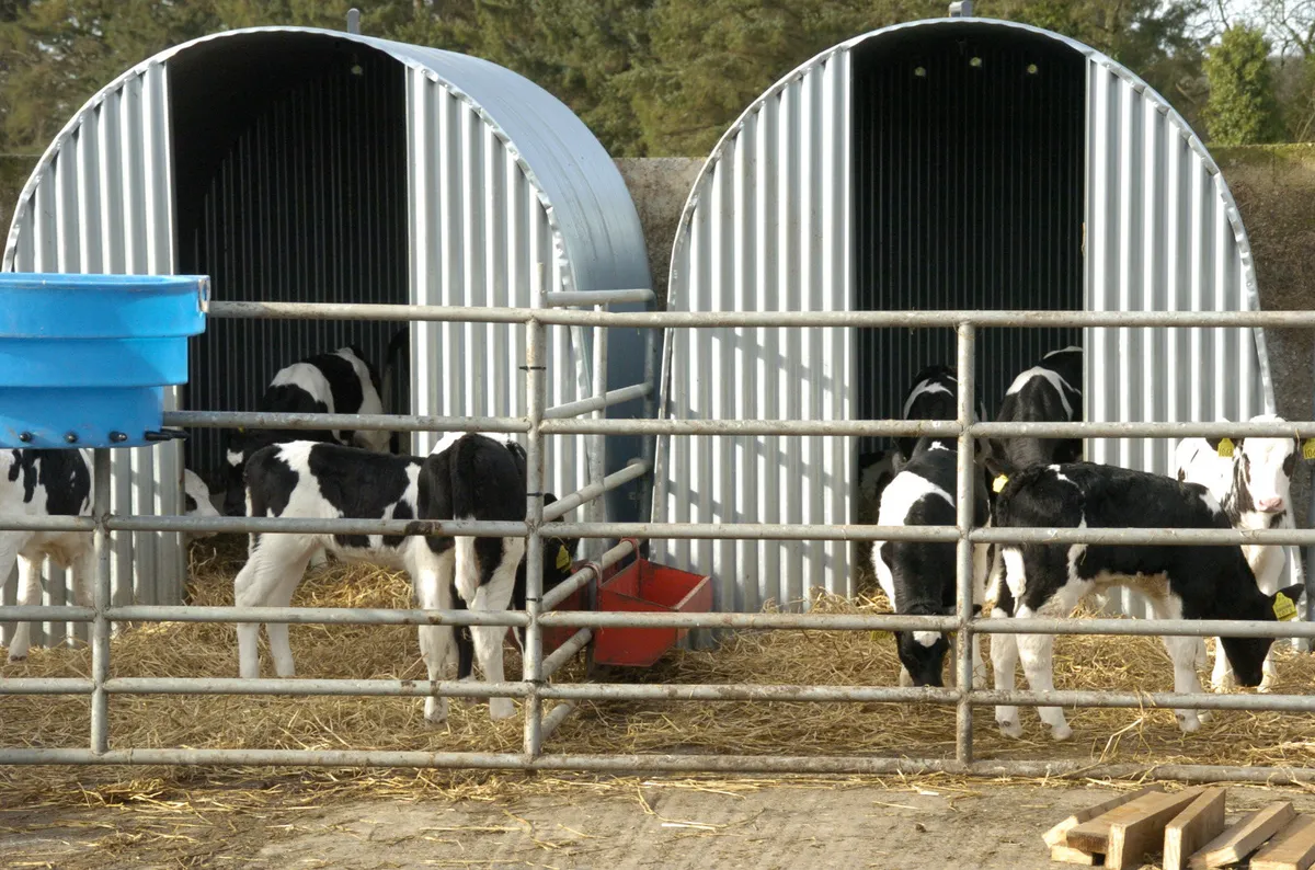 CALF SHEEP PIG GOATS DONKEY ALPACA SHED SHELTER - Image 3