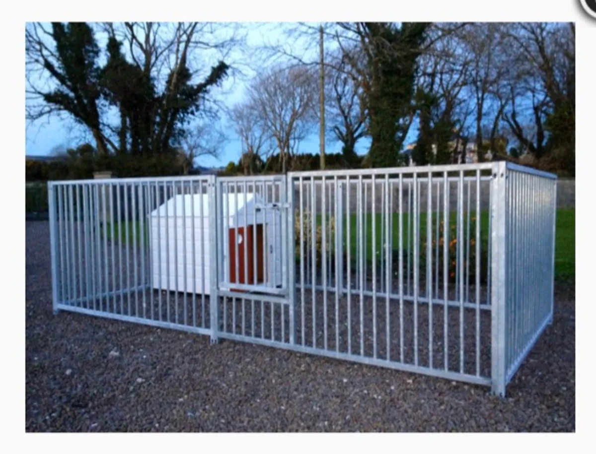Galvanised Dog Run panels - Nationwide Delivery - Image 3