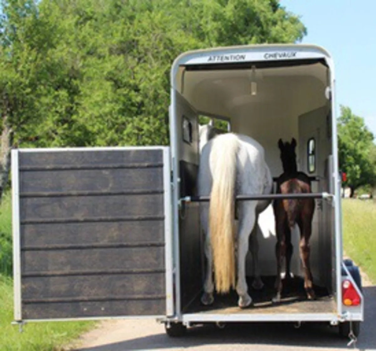 Cheval Liberte touring one (mare and foal) - Image 3