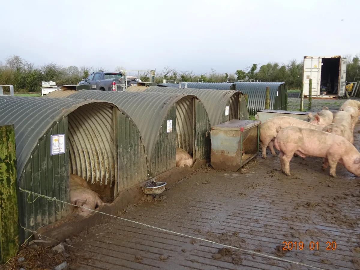NEW IRISH PIG GOATS SHEEP SHED SHELTER ARKS - Image 1